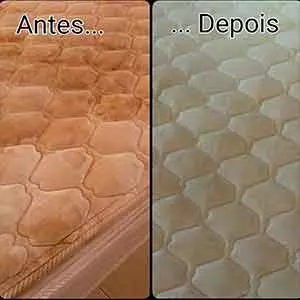 Remoção de Sujeira na Limpeza de piscina em Abreu e Lima