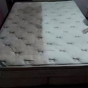 Seu Limpeza de piscina em Abreu e Lima Limpo