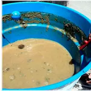 Oferecemos Limpeza de piscina em Abreu e Lima