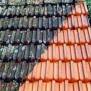 Áreas De Atuação da Limpeza de piscina em Abreu e Lima